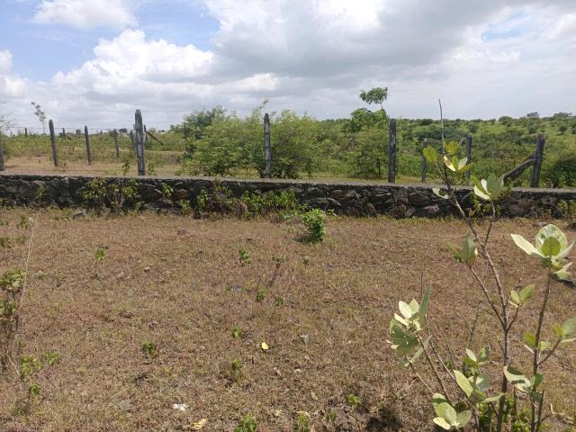 Residential Plot in Lohegaon for resale Pune. The reference number is 21040748