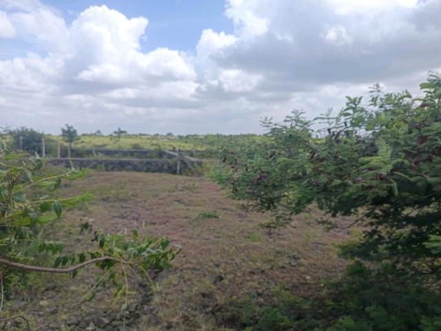 Residential Plot in Lohegaon for resale Pune. The reference number is 21040976