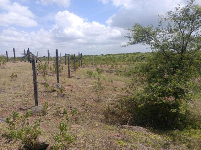 Residential Plot in Lohegaon for resale Pune. The reference number is 21040906