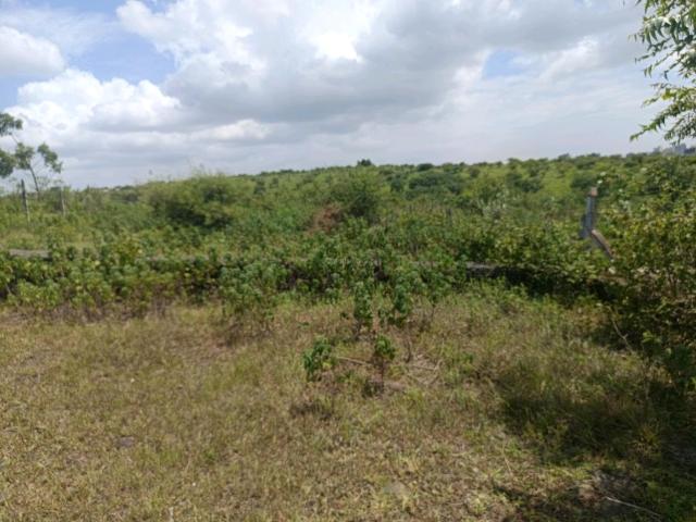 Residential Plot in Lohegaon for resale Pune. The reference number is 21040920