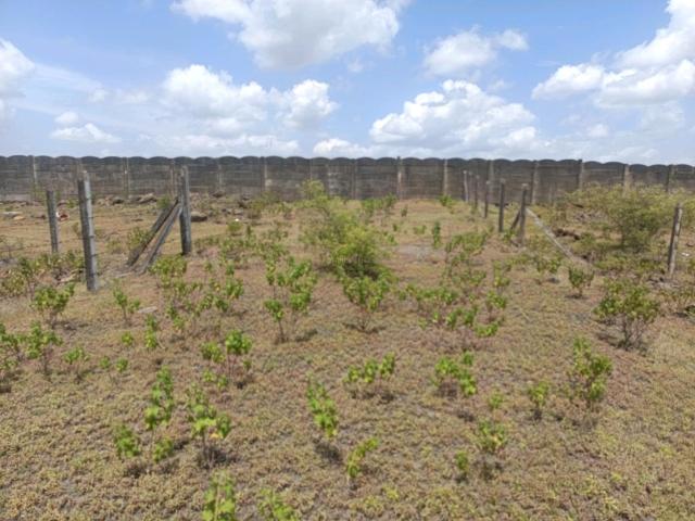 Residential Plot in Lohegaon for resale Pune. The reference number is 21041044