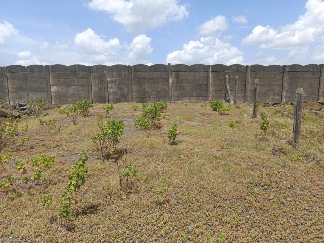 Residential Plot in Lohegaon for resale Pune. The reference number is 21041061