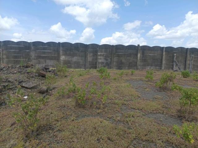 Residential Plot in Lohegaon for resale Pune. The reference number is 21041084