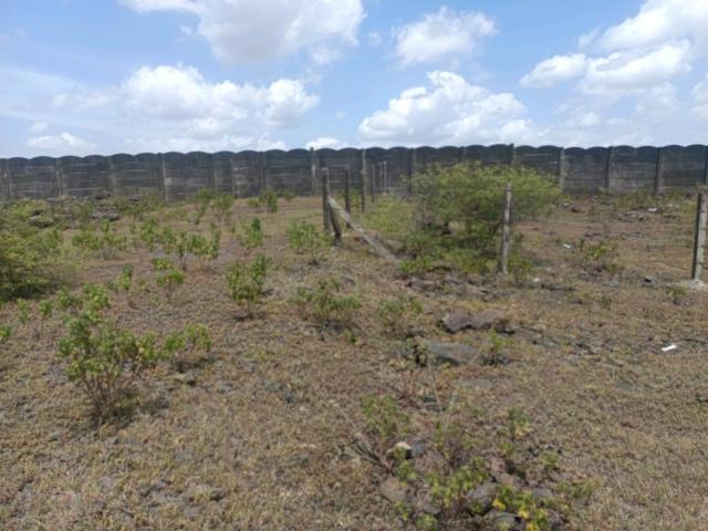 Residential Plot in Lohegaon for resale Pune. The reference number is 21041035