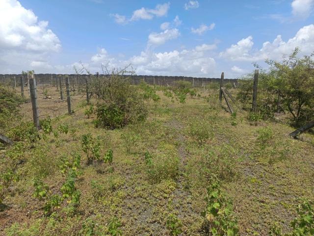 Residential Plot in Lohegaon for resale Pune. The reference number is 21041145