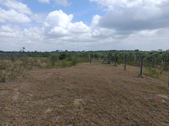 Residential Plot in Lohegaon for resale Pune. The reference number is 21041178