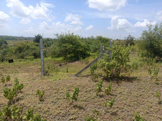 Residential Plot in Lohegaon for resale Pune. The reference number is 21041192