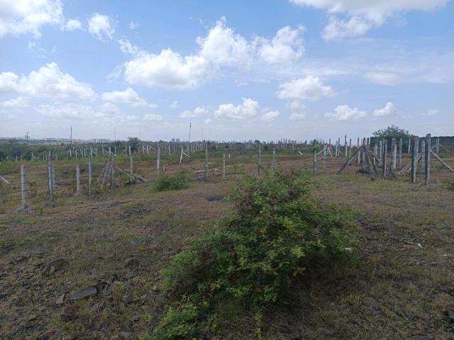 Residential Plot in Lohegaon for resale Pune. The reference number is 21041128