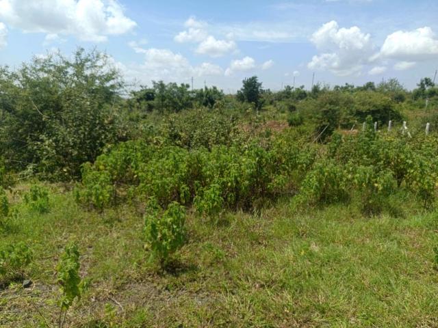 Residential Plot in Lohegaon for resale Pune. The reference number is 21041243
