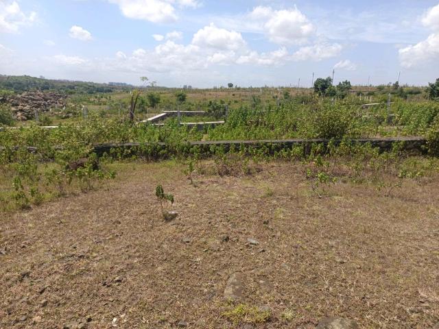 Residential Plot in Lohegaon for resale Pune. The reference number is 21041290