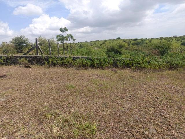 Residential Plot in Lohegaon for resale Pune. The reference number is 21041299