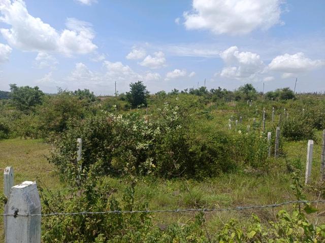 Residential Plot in Lohegaon for resale Pune. The reference number is 21041222