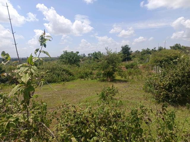 Residential Plot in Lohegaon for resale Pune. The reference number is 21041231