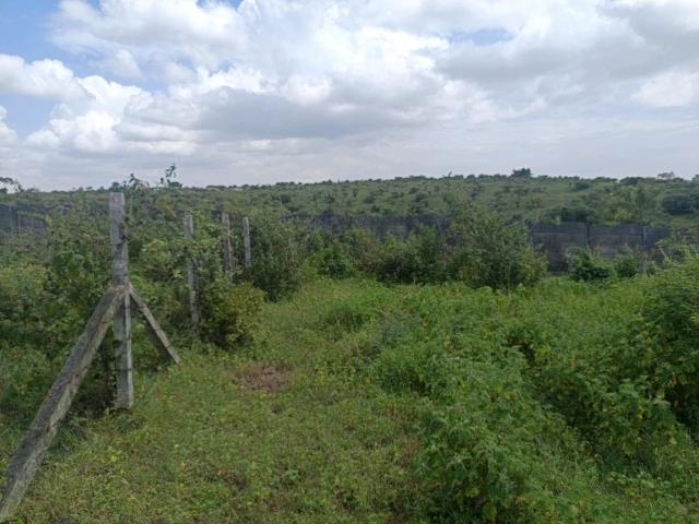 Residential Plot in Lohegaon for resale Pune. The reference number is 21036432