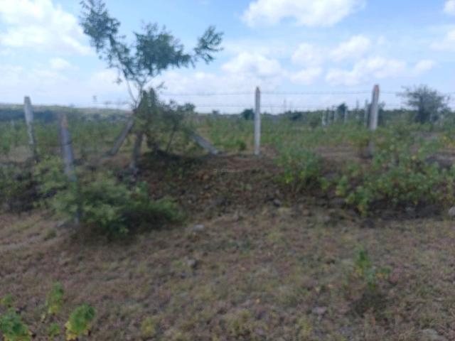 Residential Plot in Lohegaon for resale Pune. The reference number is 21039042