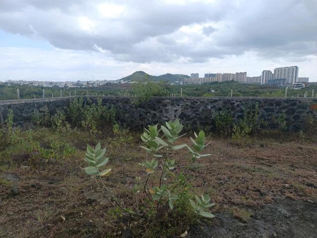 Residential Plot in Lohegaon for resale Pune. The reference number is 21039079