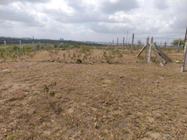 Residential Plot in Lohegaon for resale Pune. The reference number is 21039097