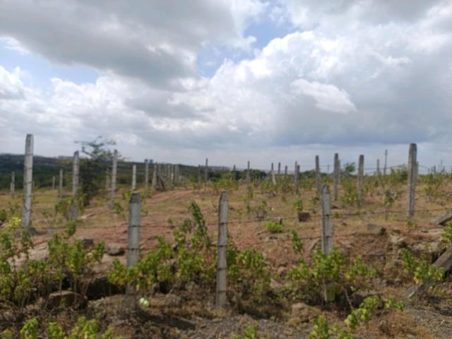 Residential Plot in Lohegaon for resale Pune. The reference number is 21039149