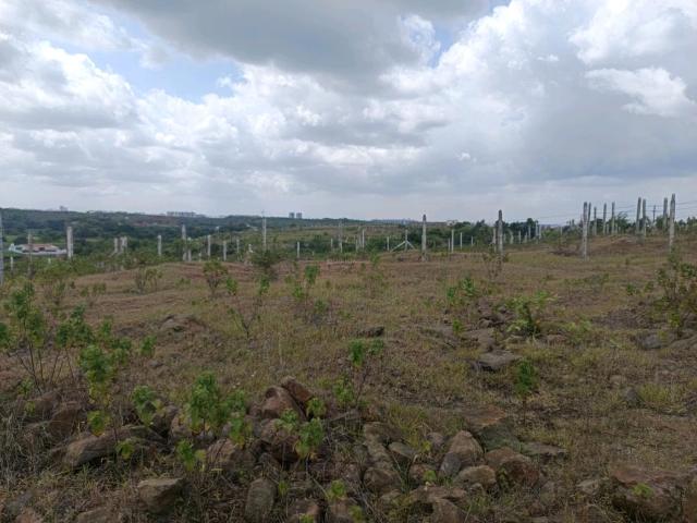 Residential Plot in Lohegaon for resale Pune. The reference number is 21039167