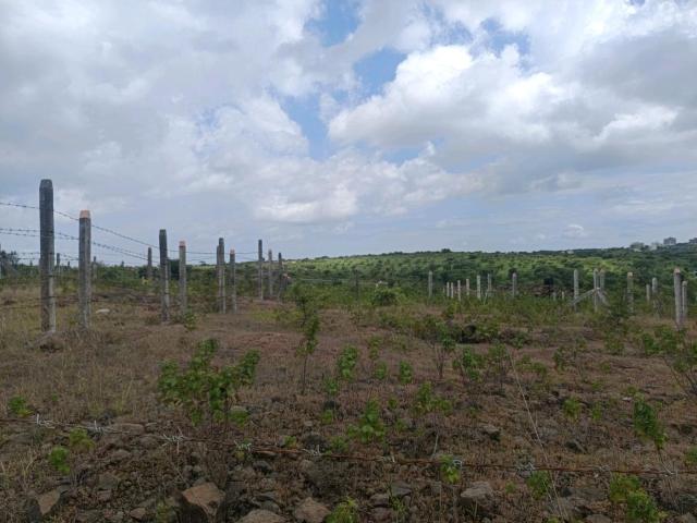 Residential Plot in Lohegaon for resale Pune. The reference number is 21039177
