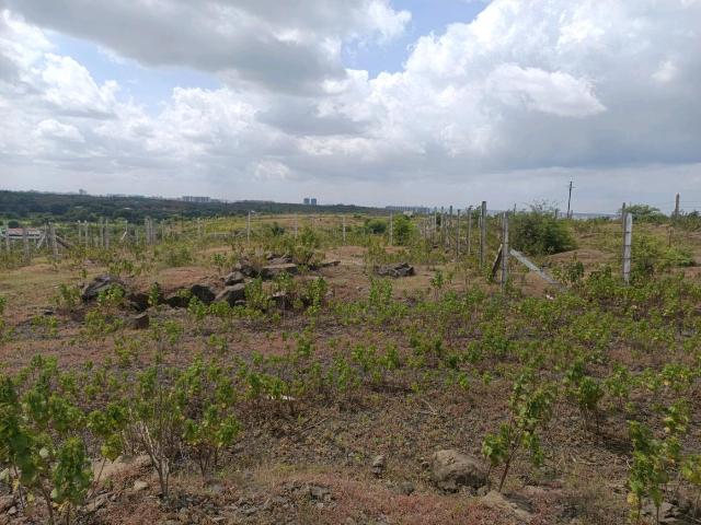 Residential Plot in Lohegaon for resale Pune. The reference number is 21039187