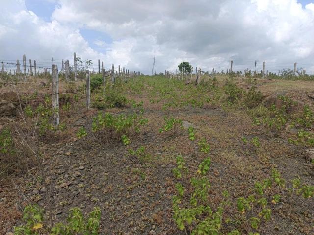 Residential Plot in Lohegaon for resale Pune. The reference number is 21039119