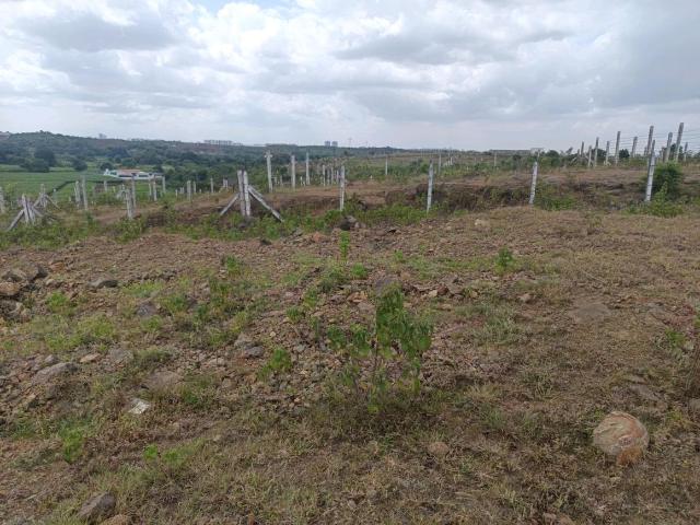 Residential Plot in Lohegaon for resale Pune. The reference number is 21039137