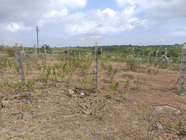 Residential Plot in Lohegaon for resale Pune. The reference number is 21039245