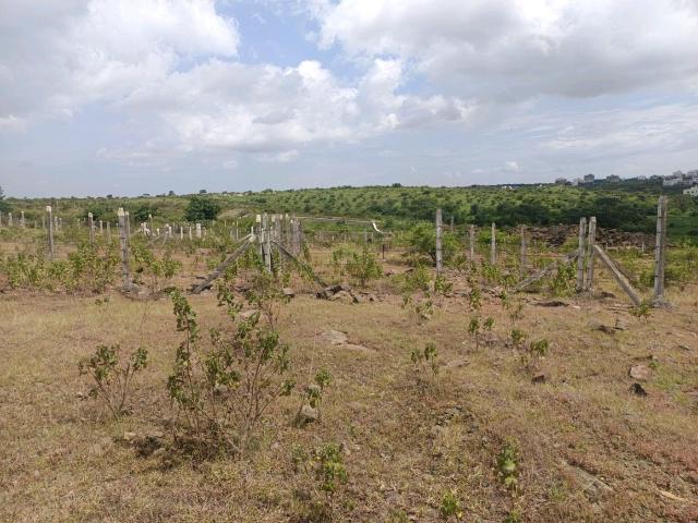 Residential Plot in Lohegaon for resale Pune. The reference number is 21039251