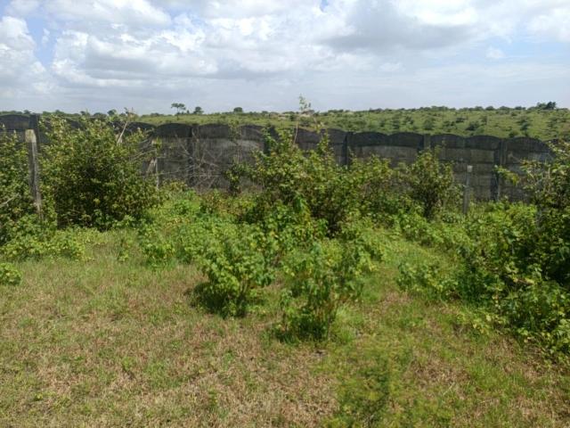 Residential Plot in Lohegaon for resale Pune. The reference number is 21039293