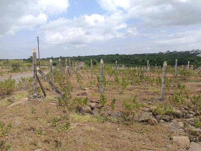 Residential Plot in Lohegaon for resale Pune. The reference number is 21039222