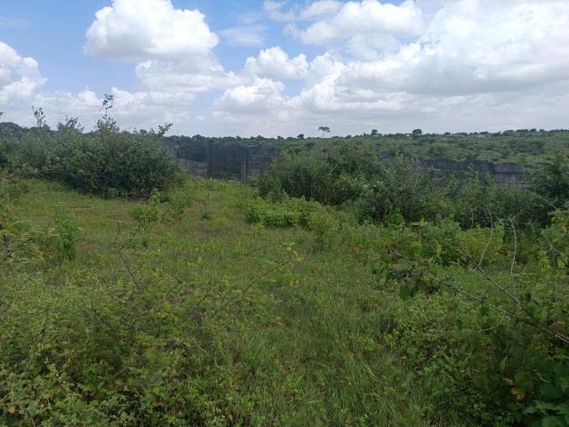 Residential Plot in Lohegaon for resale Pune. The reference number is 21039344