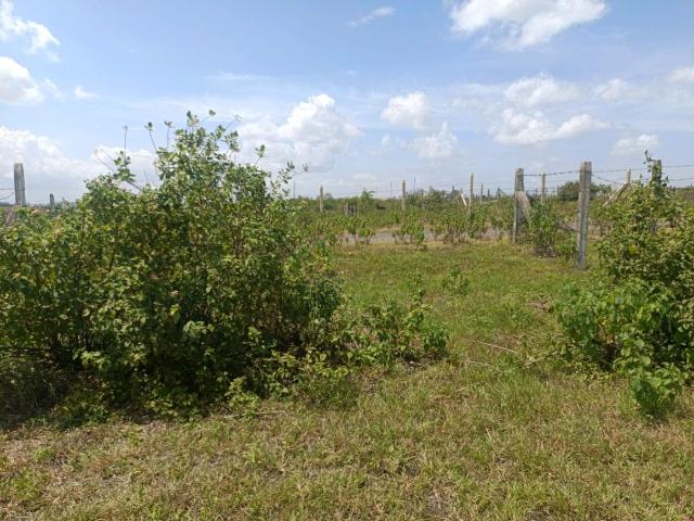 Residential Plot in Lohegaon for resale Pune. The reference number is 21039319