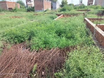 Residential Plot in Loni for resale Ghaziabad. The reference number is 17801984