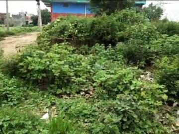 Residential Plot in Loni for resale Ghaziabad. The reference number is 18173864