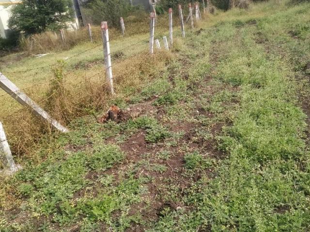 Residential Plot in Loni Kalbhor for resale Pune. The reference number is 10586121