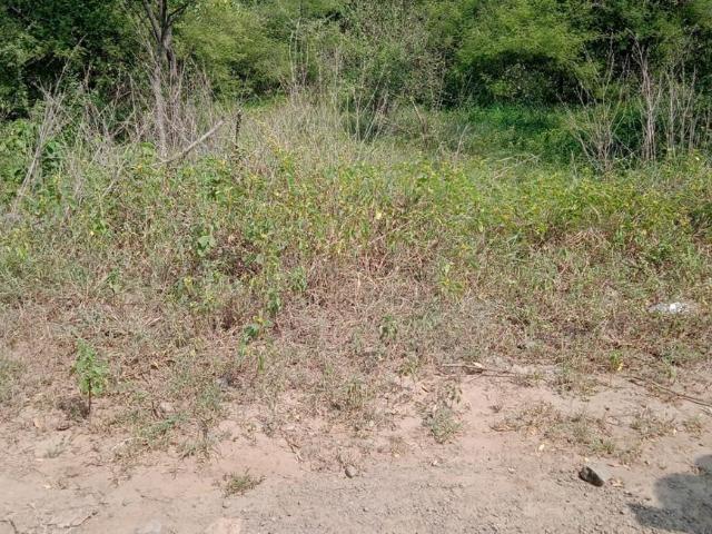 Residential Plot in Lonikand for resale Pune. The reference number is 21258536