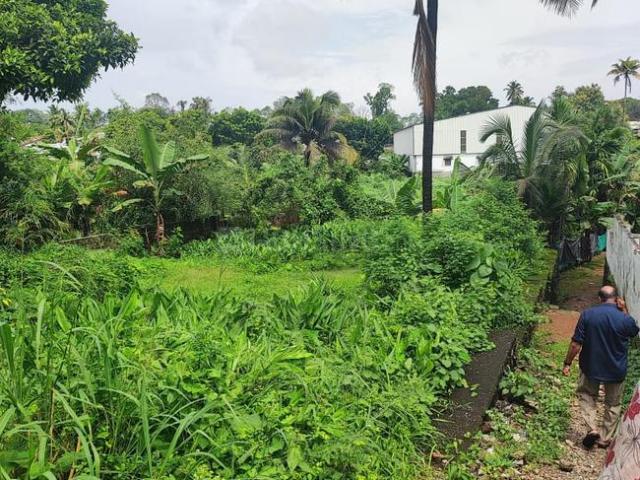 Residential Plot in Pukkattupady for resale Kochi. The reference number is 17582885