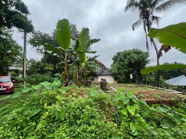 Residential Plot in Pukkattupady for resale Kochi. The reference number is 20836524