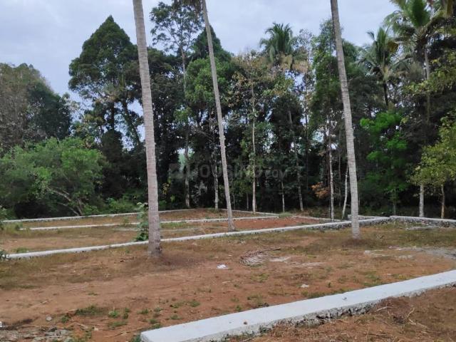 Residential Plot in Puliyanm for resale Kochi. The reference number is 20028505