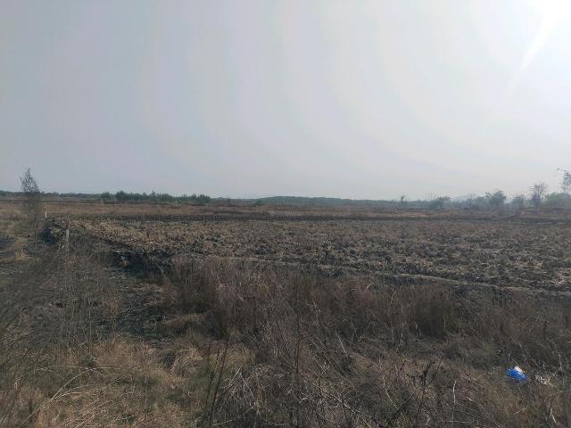 Residential Plot in Punade for resale Raigad. The reference number is 19633728