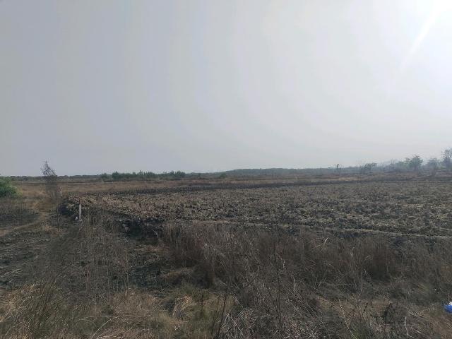 Residential Plot in Punade for resale Raigad. The reference number is 19633936