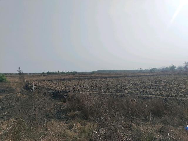 Residential Plot in Punade for resale Raigad. The reference number is 19633936