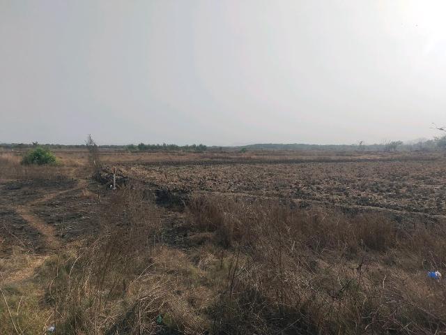 Residential Plot in Punade for resale Raigad. The reference number is 19719310