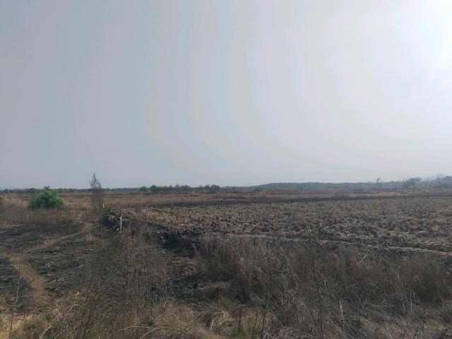Residential Plot in Punade for resale Raigad. The reference number is 19719527