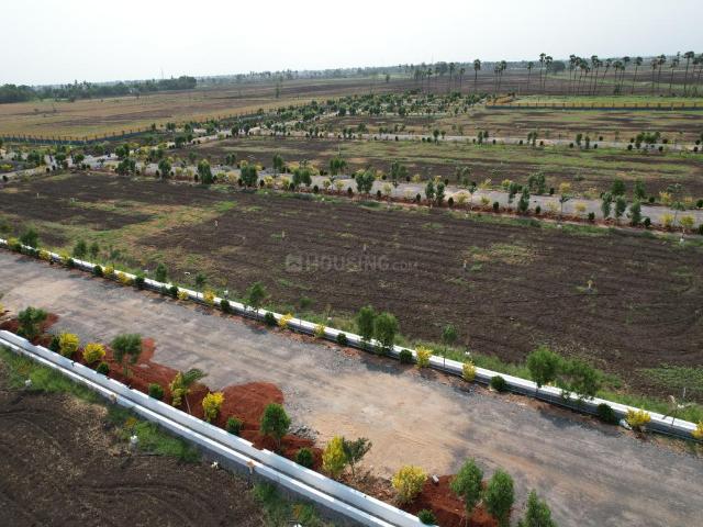 Residential Plot in Punadipadu for resale Vijayawada. The reference number is 19302582