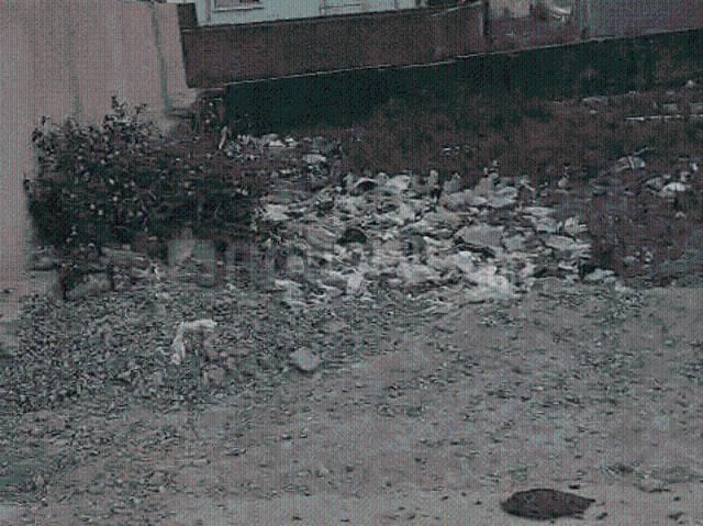 Residential Plot in Pundag for resale Ranchi. The reference number is 20463636