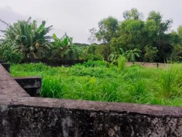 Pallippuram Town, Thrissur District, Kerala State