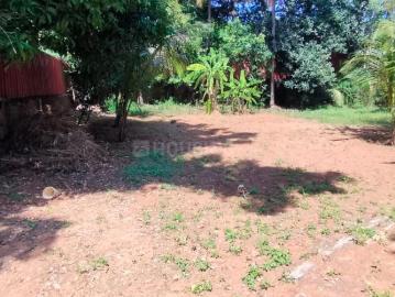 Pallippuram Town, Thrissur District, Kerala State