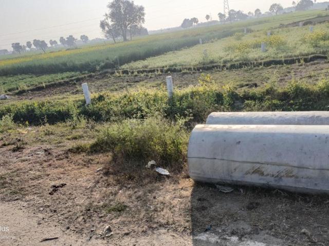 Residential Plot in Punpun for resale Patna. The reference number is 19444969